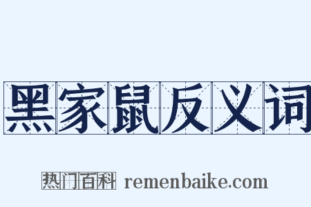 黑家鼠反义词是什么意思的图片